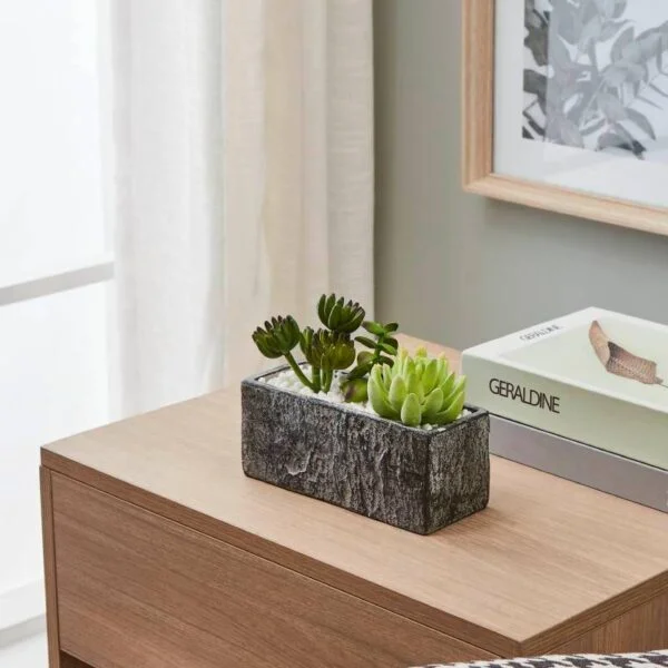 Eglo 428009 "Chıtose" Dekoratif Saksıda Bitki 14,5cm Yüksekliğinde 17,8cm Uzunluğunda