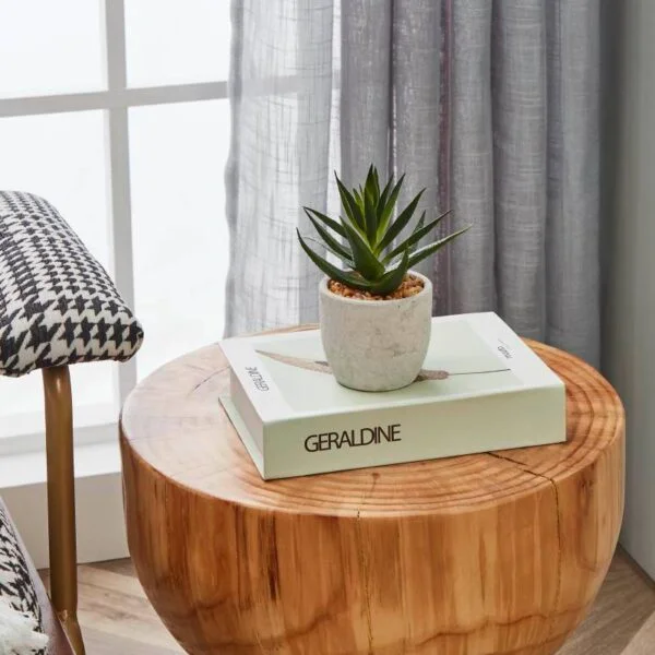 Eglo 428012 "Chıtose" Kahverengi, Yeşil Dekoratif Saksıda Bitki 15,5cm Yüksekliğinde 10cm Çapında