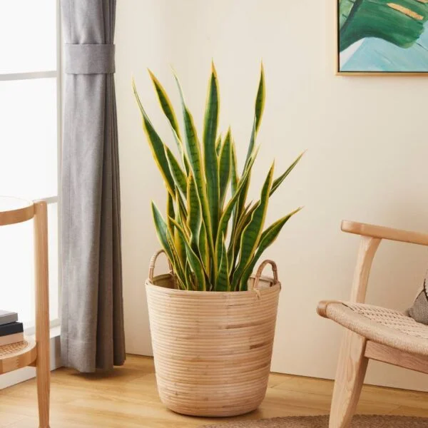 Eglo 426513 "Naraha" Doğal Ahşap Sepet 41cm Yüksekliğinde 36cm Çapında